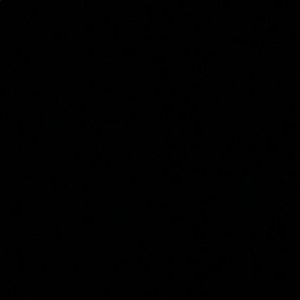 Meet your Posher, Logan